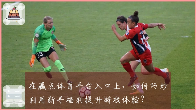 在赢点体育平台入口上，如何巧妙利用新手福利提升游戏体验？
