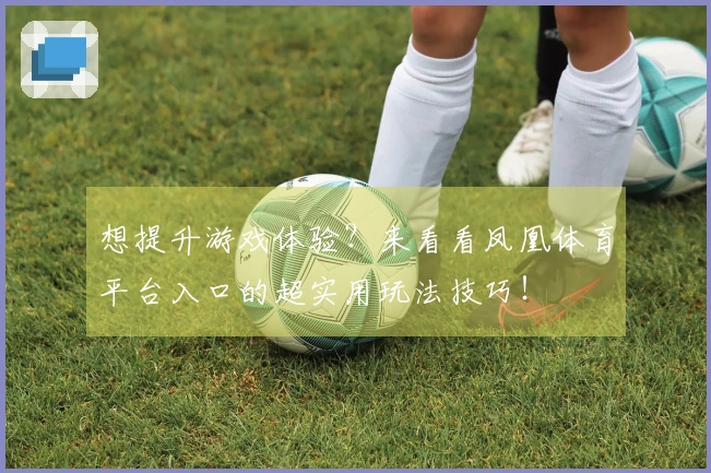 想提升游戏体验？来看看凤凰体育平台入口的超实用玩法技巧！
