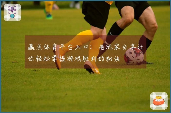 赢点体育平台入口：老玩家分享让你轻松掌握游戏胜利的秘诀
